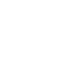 VIP & Executive Protection Services